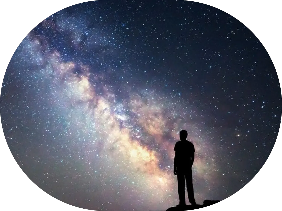 Theresa A. Mcreynolds, DC photo 3