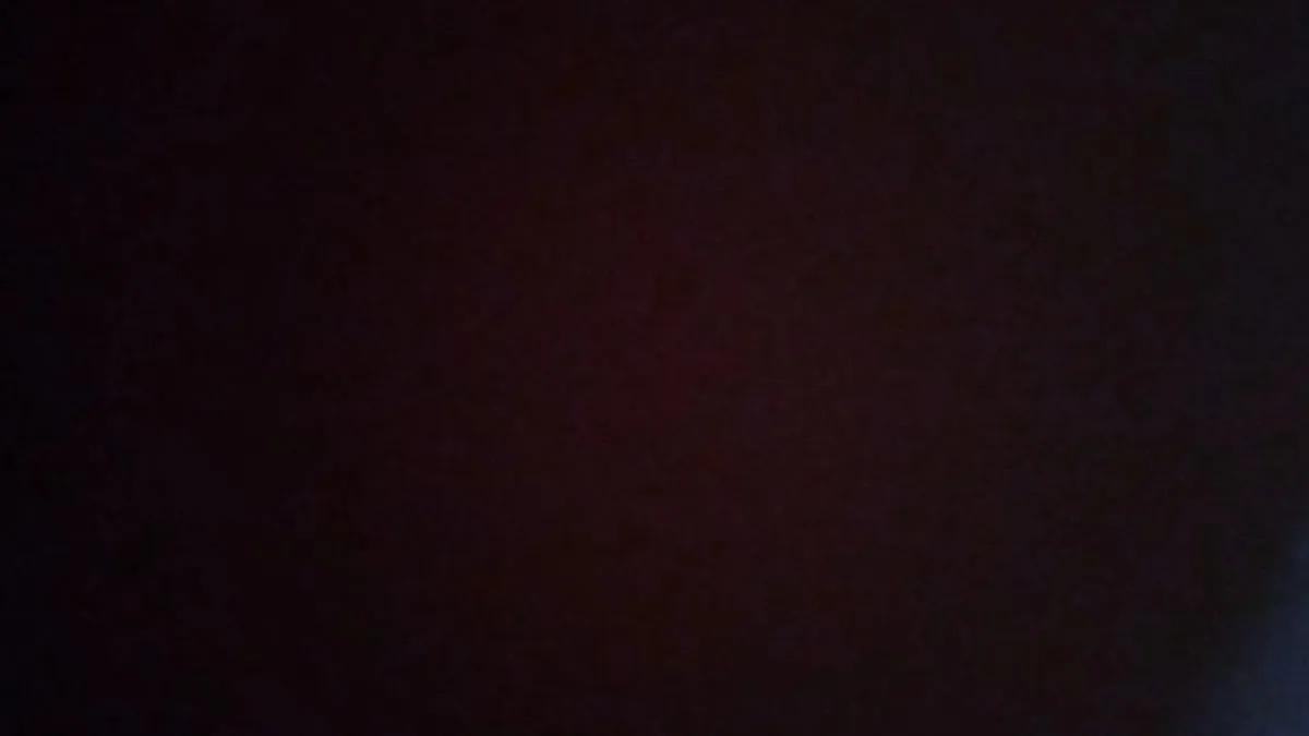 This Is It Entertainment photo 3