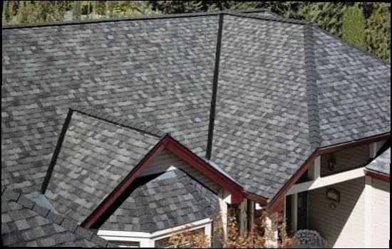 Thomas & Sons Roofing & Construction photo 2