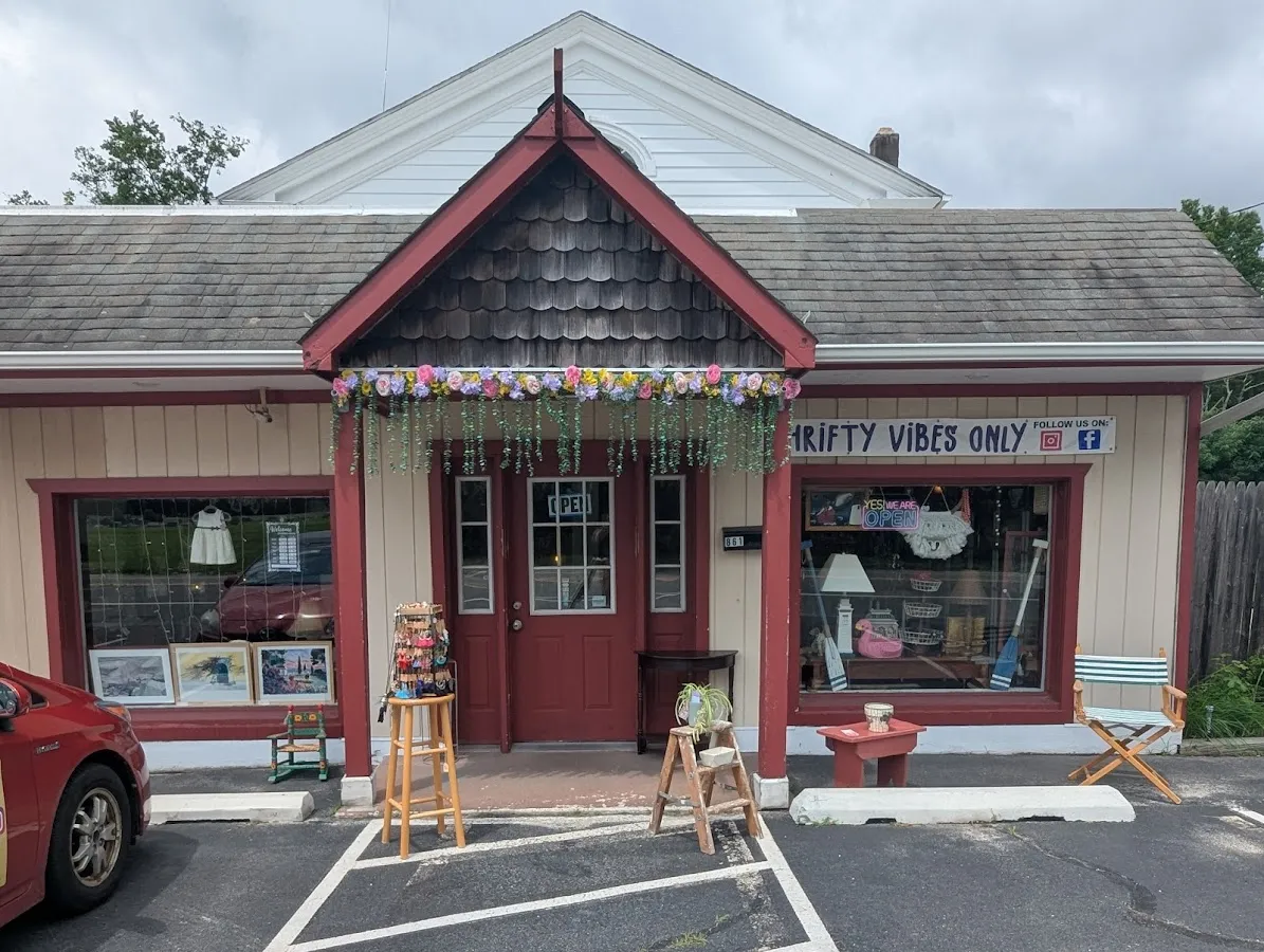 Thrifty Vibes Only: A Curated Collection of Goods