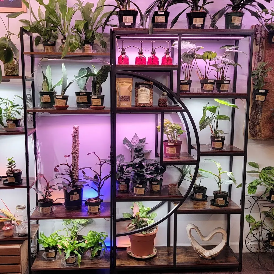 Thyme Travelers Conservatory