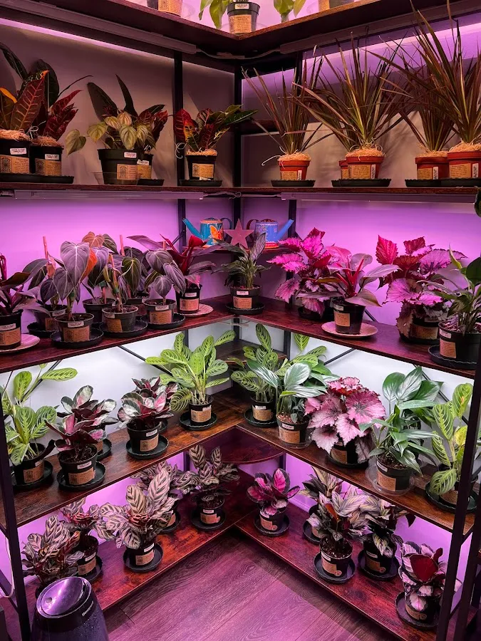 Thyme Travelers Conservatory photo 2