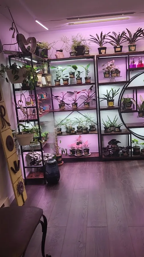 Thyme Travelers Conservatory photo 3