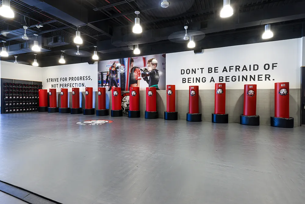 Tiger Schulmann's Martial Arts (Lawrence Township, NJ) photo 3