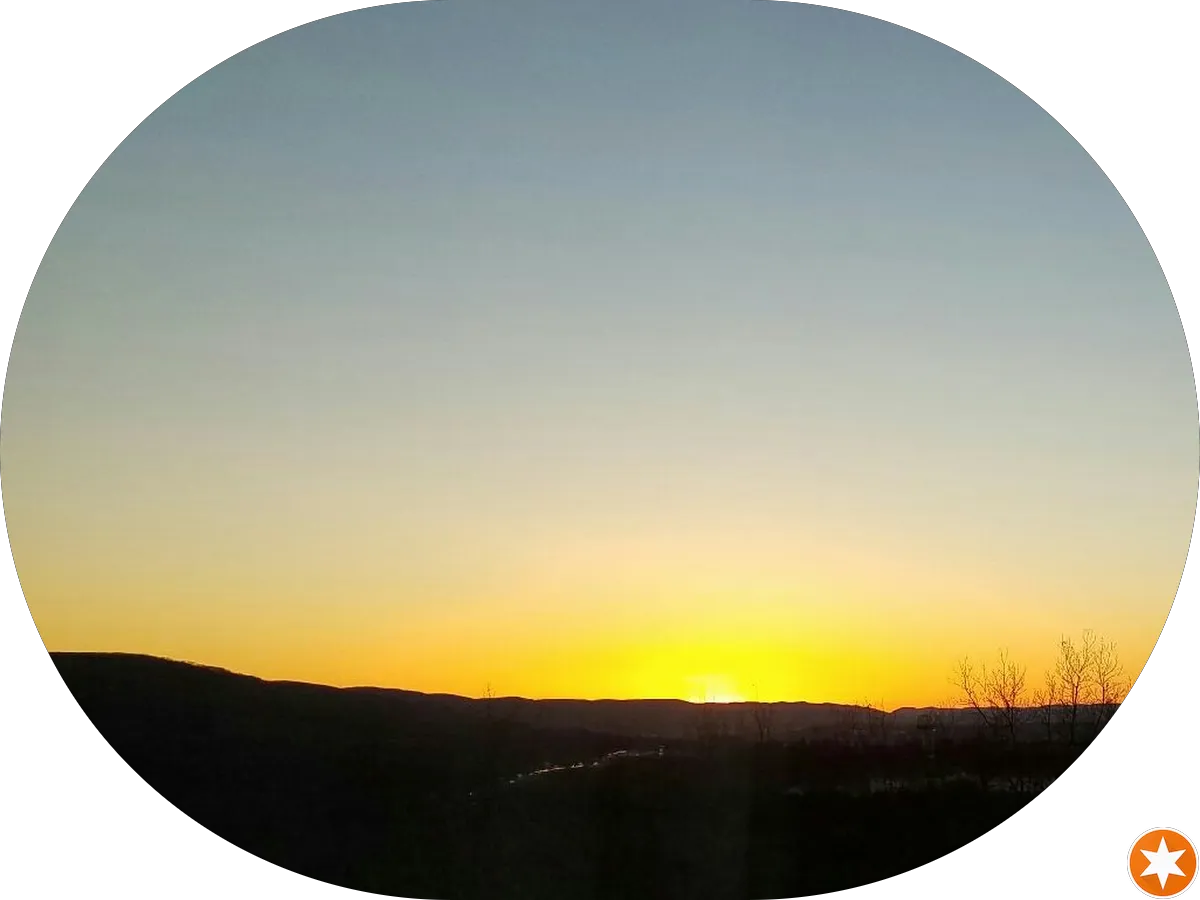 Tilton Dry Cleaner photo 4