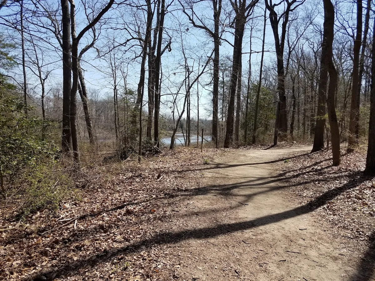 Timber Creek Dog Park