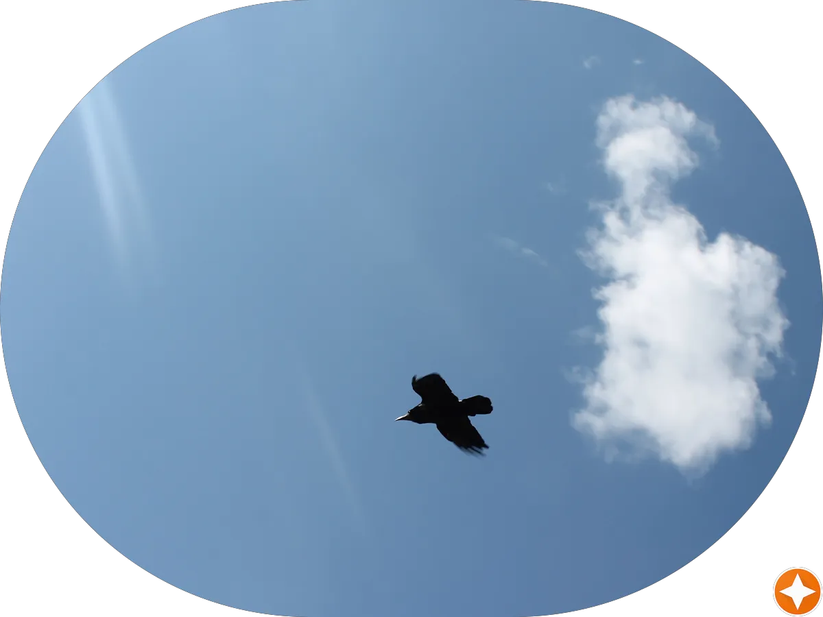 Tina's Laundromat & Dry Cleaners photo 2