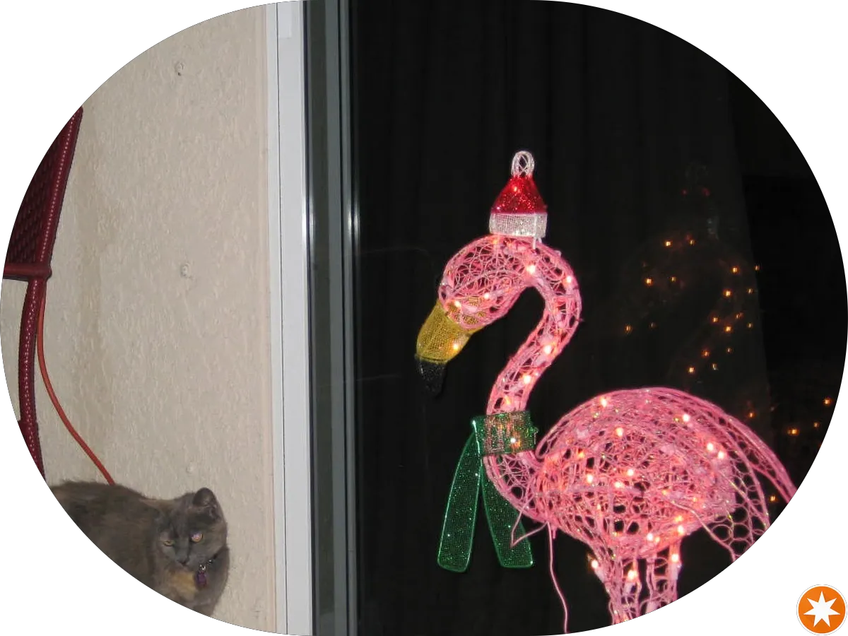 Tire Barn & Auto Center photo 3