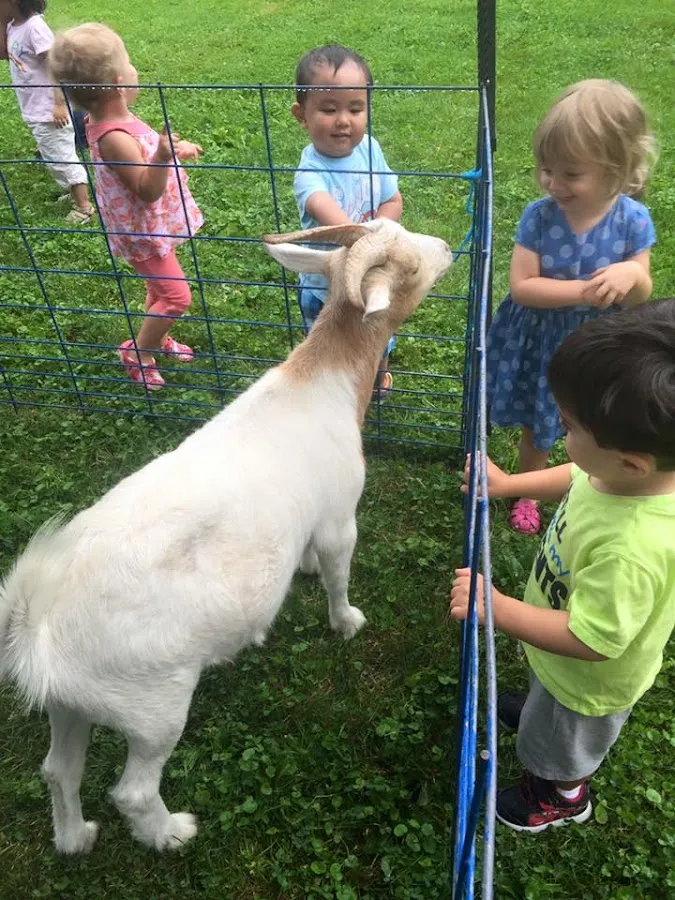 Today's Learning Center photo 2