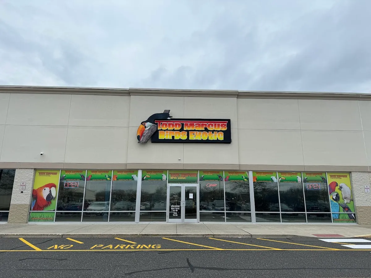 Todd Marcus Birds Exotic
