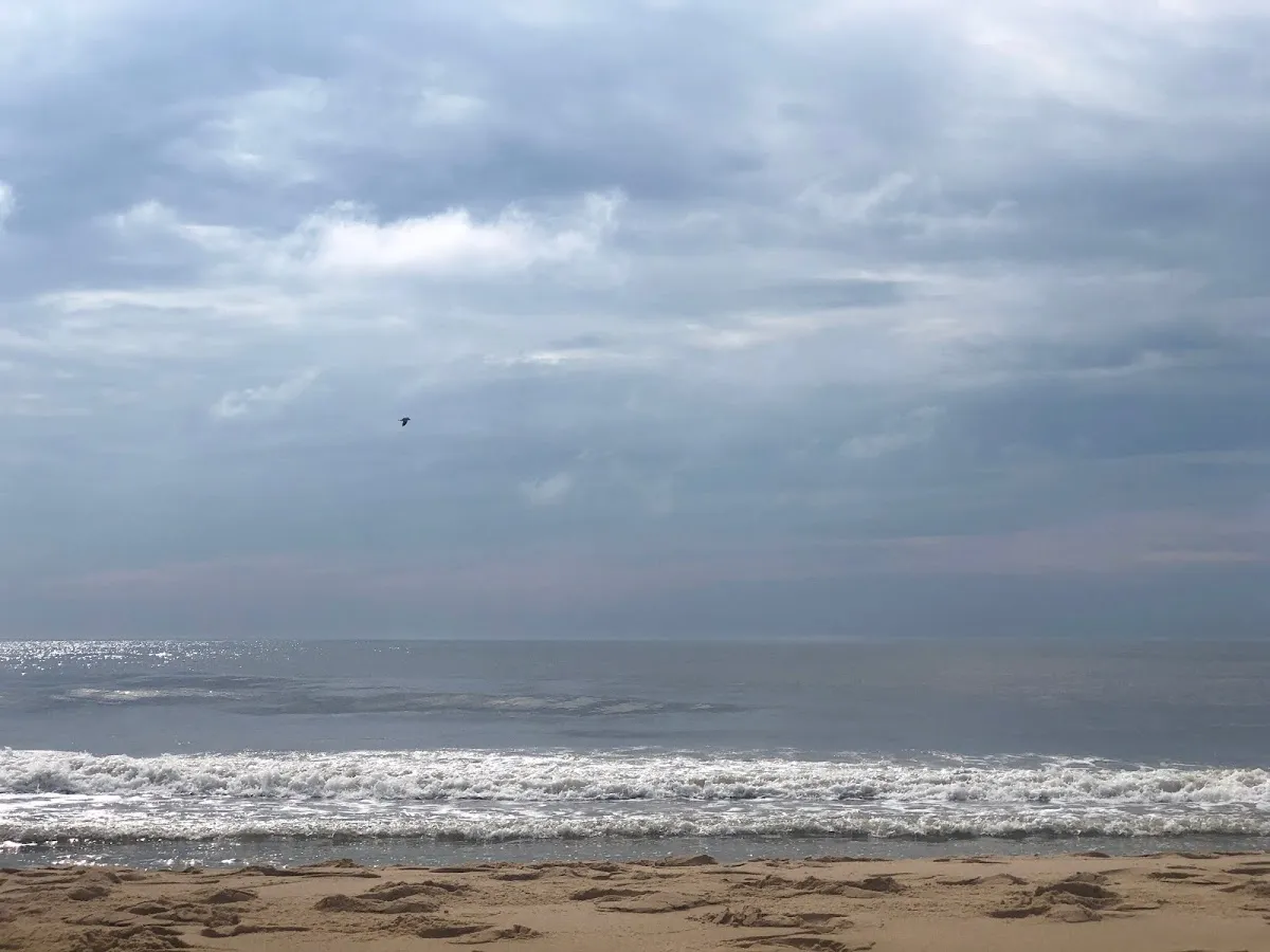 Tom Walpole ~ Mobile MD & DE Notary/MD LTP