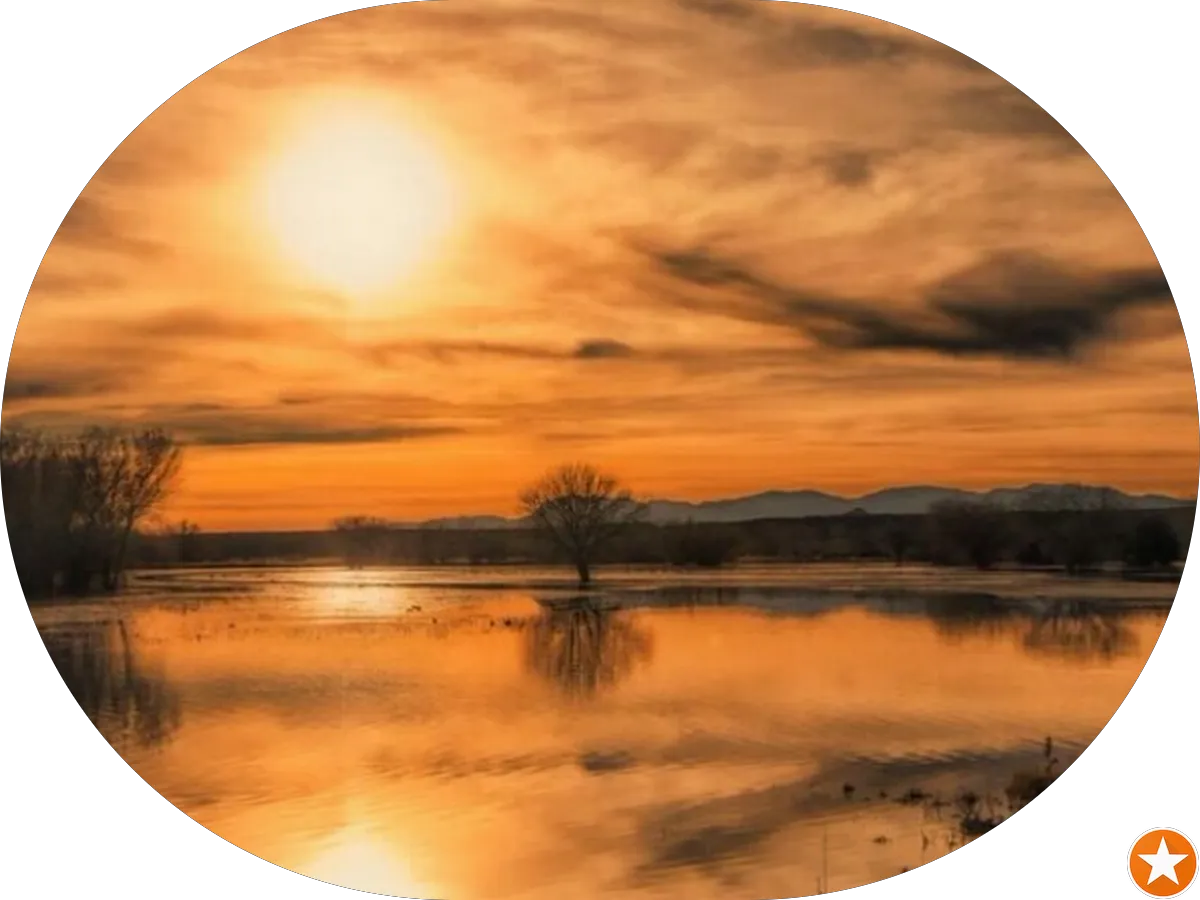 Tomar's Discount Liquors photo 5