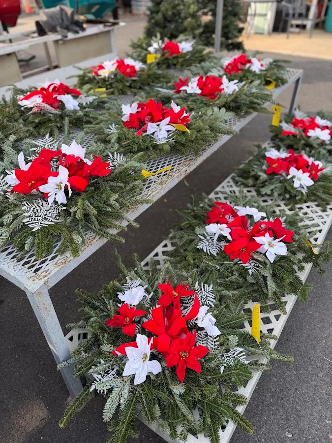 Tony Morelli's Market photo 5