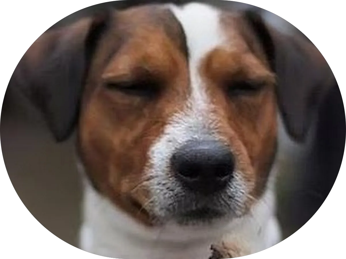 Tonz of Fun | Interactive Event Entertainment & Special Effects photo 4