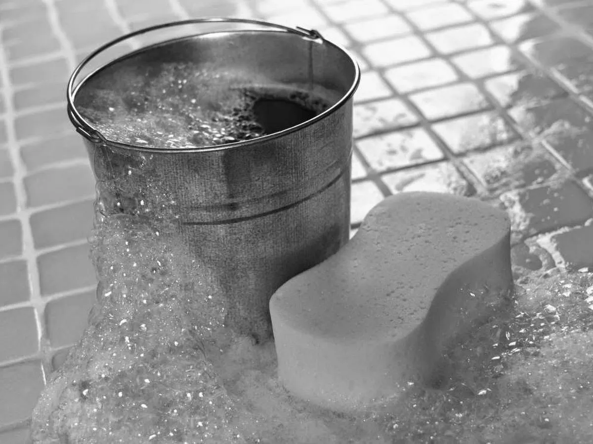 Top Brand Carpet Care photo 2