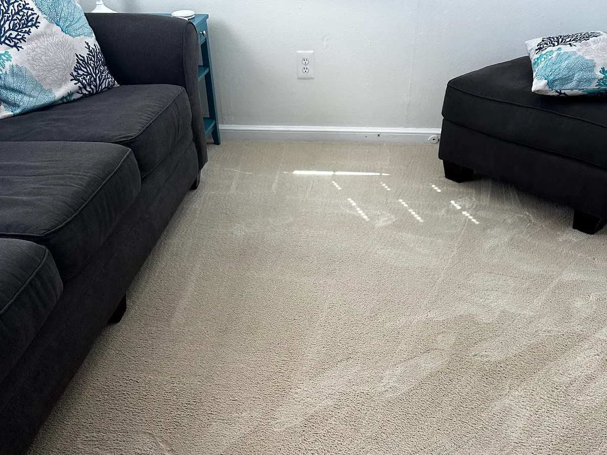 Top Brand Carpet Care photo 3