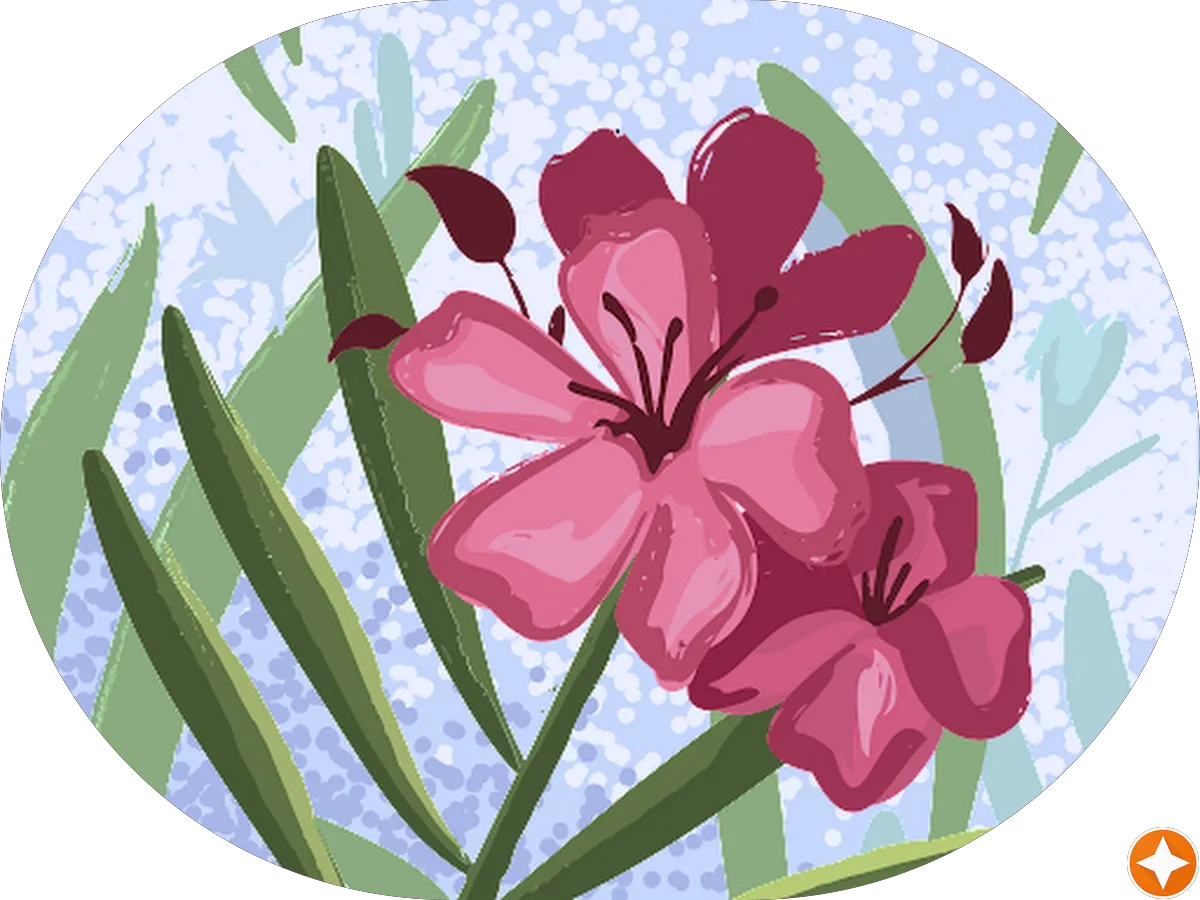 Topline Nails photo 5