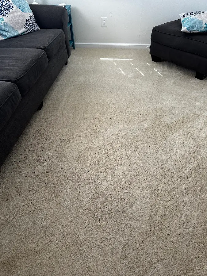 TopSteam Carpet, Upholstery, Tile & Grout Cleaning LLC