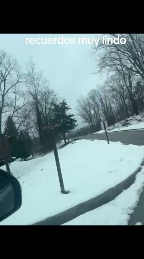 Toshiba Business Solutions photo 2