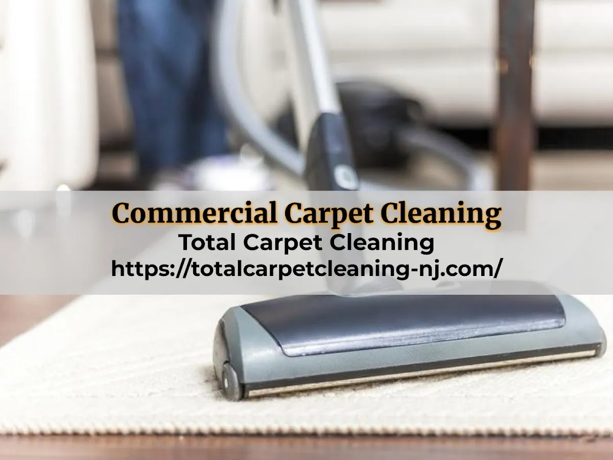 Total Carpet Cleaning photo 2