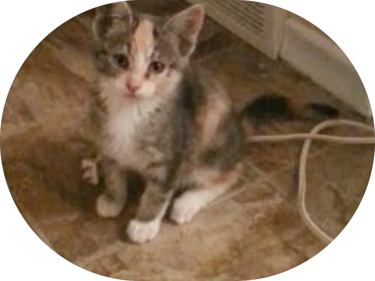 Total Zen Spa photo 4