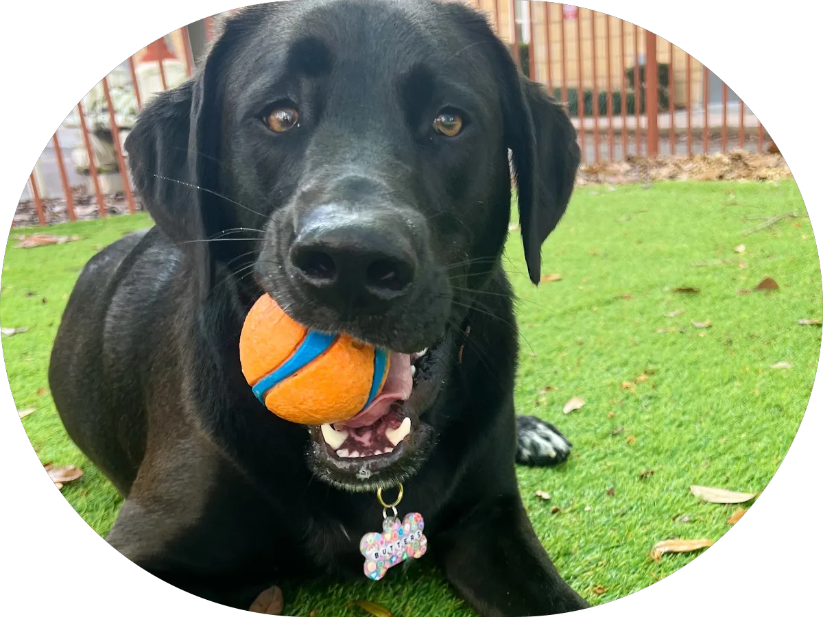 Tractor Supply Co. photo 4