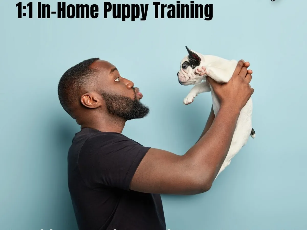 Train Groom Shop photo 2