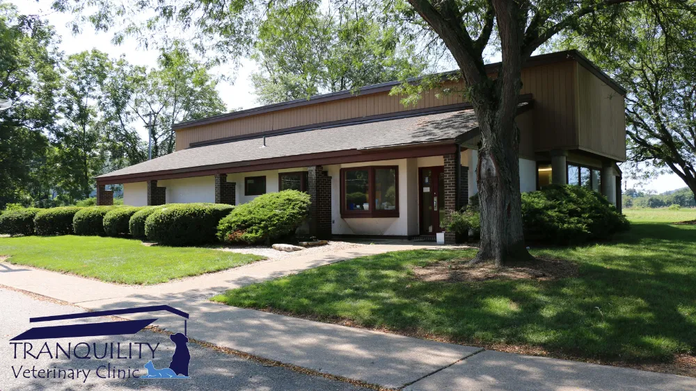 Tranquility Veterinary Clinic