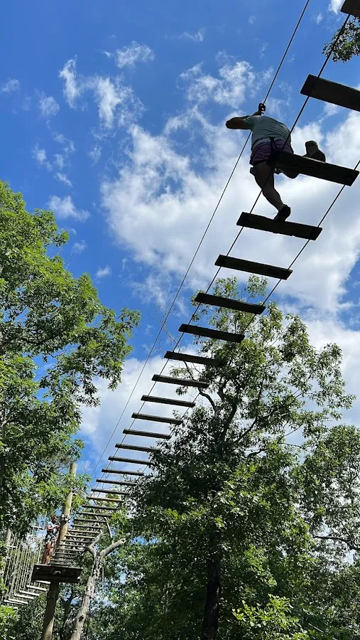 Tree To Tree Cape May photo 4