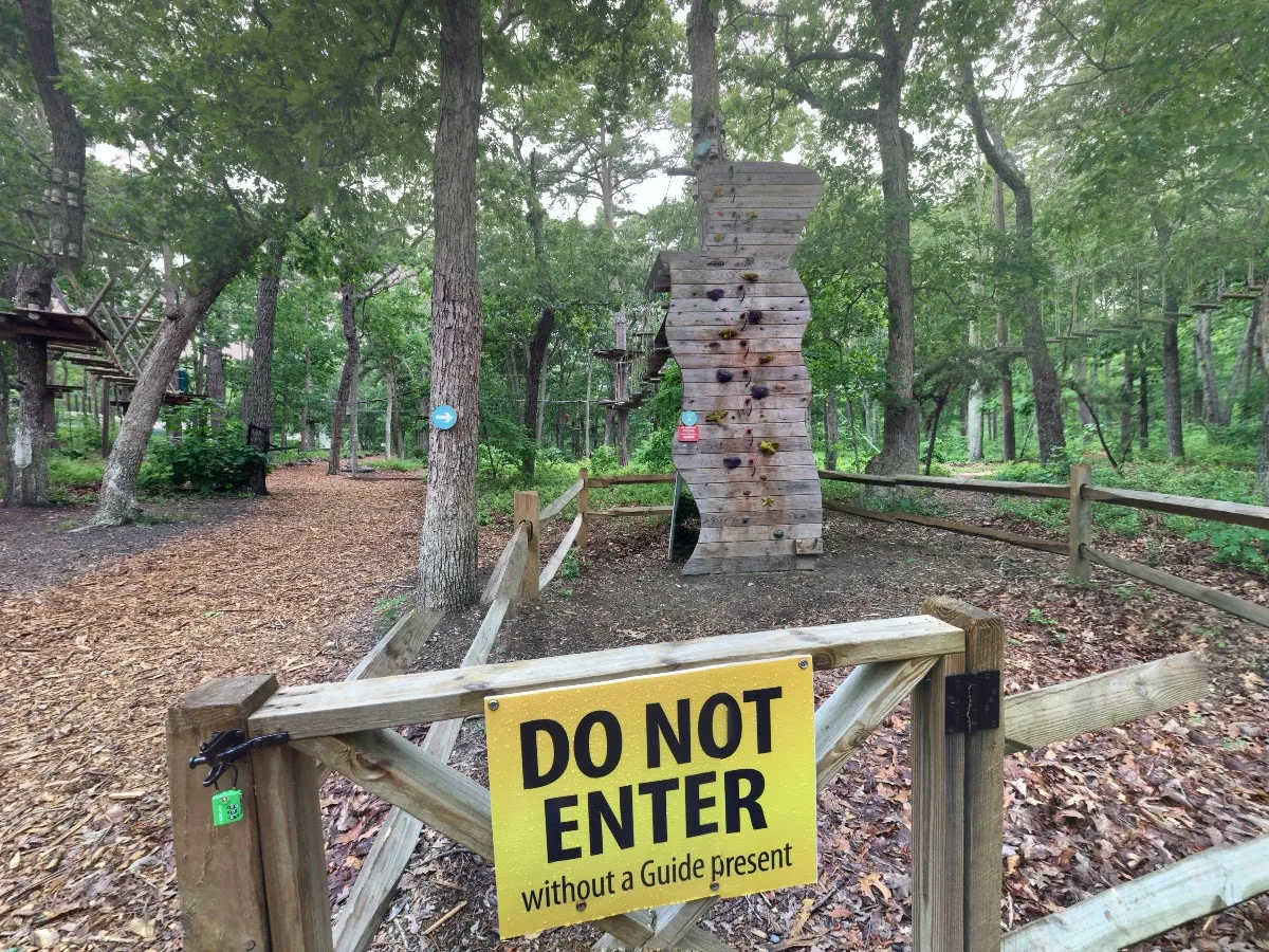 Tree To Tree Cape May photo 5