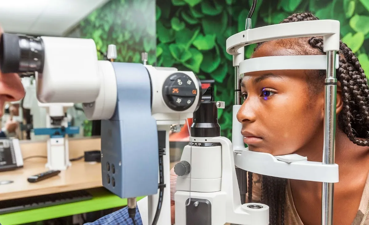 Treehouse Eyes - Collingswood