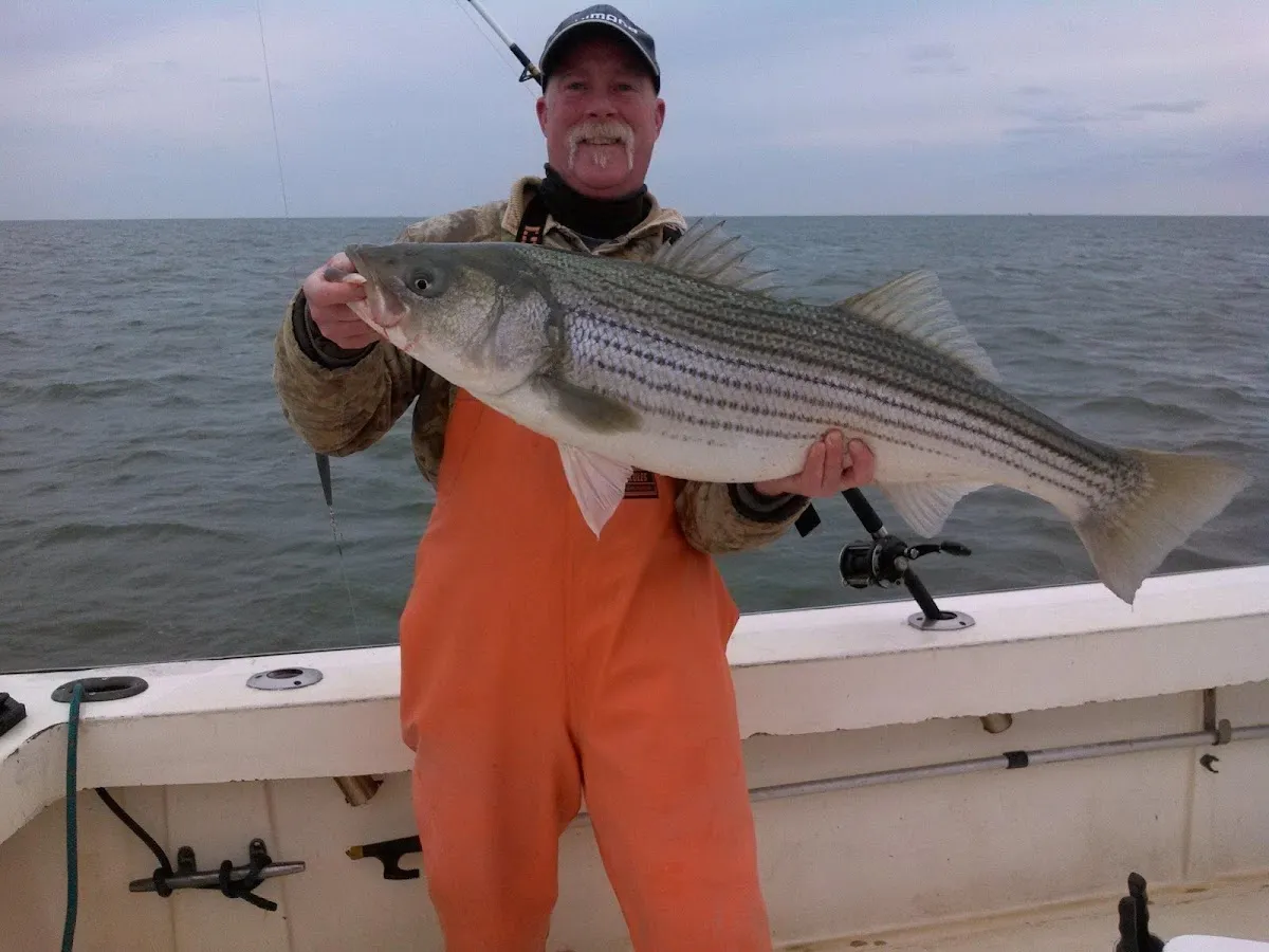 Treemendous Sportfishing photo 4