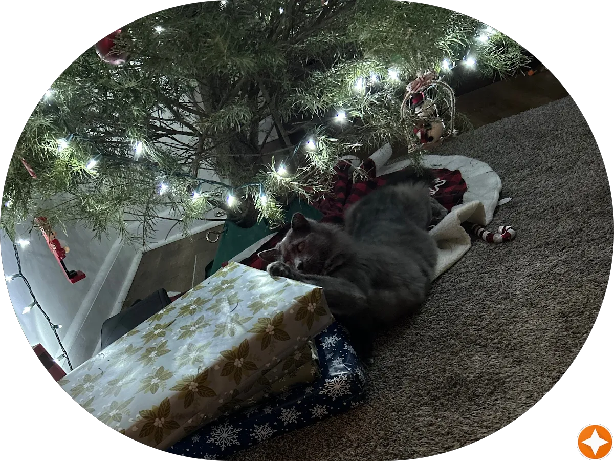 Trendsetters Hair & Beauty Salon photo 5