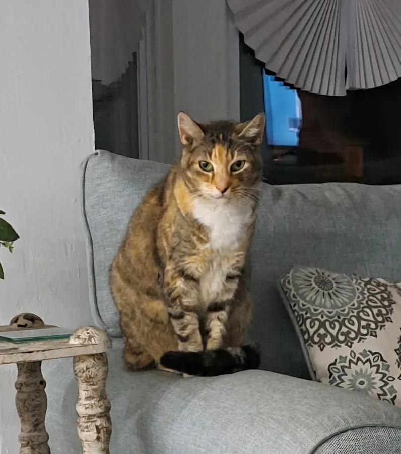 Tri-County Veterinary Clinic: Varnold P M DVM