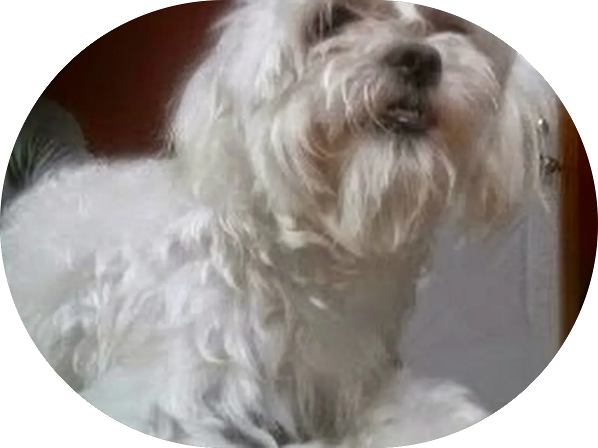 Trinidad Law Office, LLC photo 3