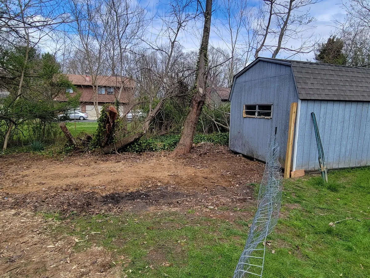 Tri-State Cleanout & Junk Removal