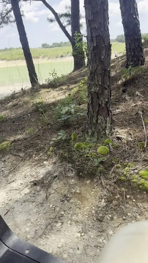 Twisted Dune Golf Club photo 4