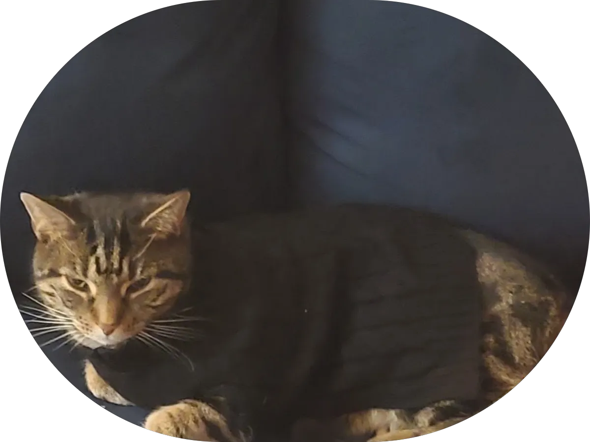 UFO Nuisance Wildlife Control, LLC photo 4