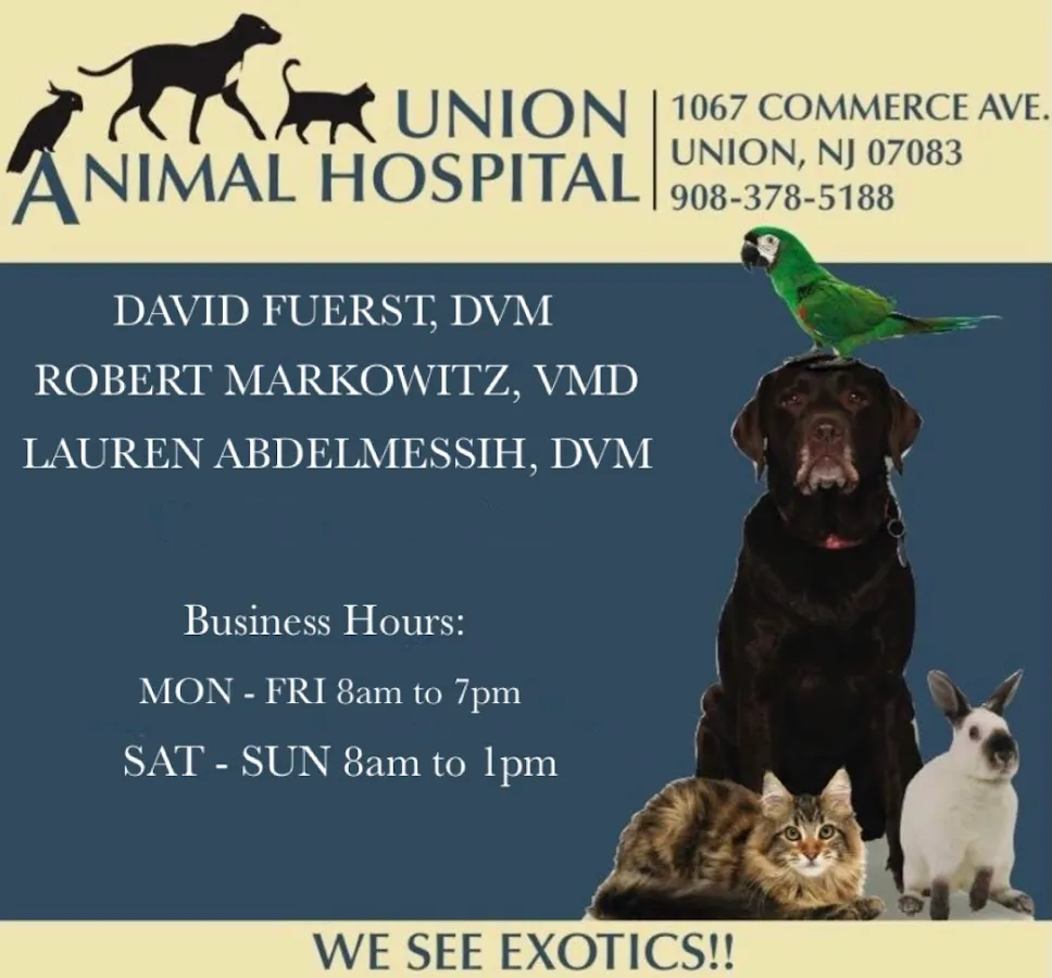 Union Animal Hospital