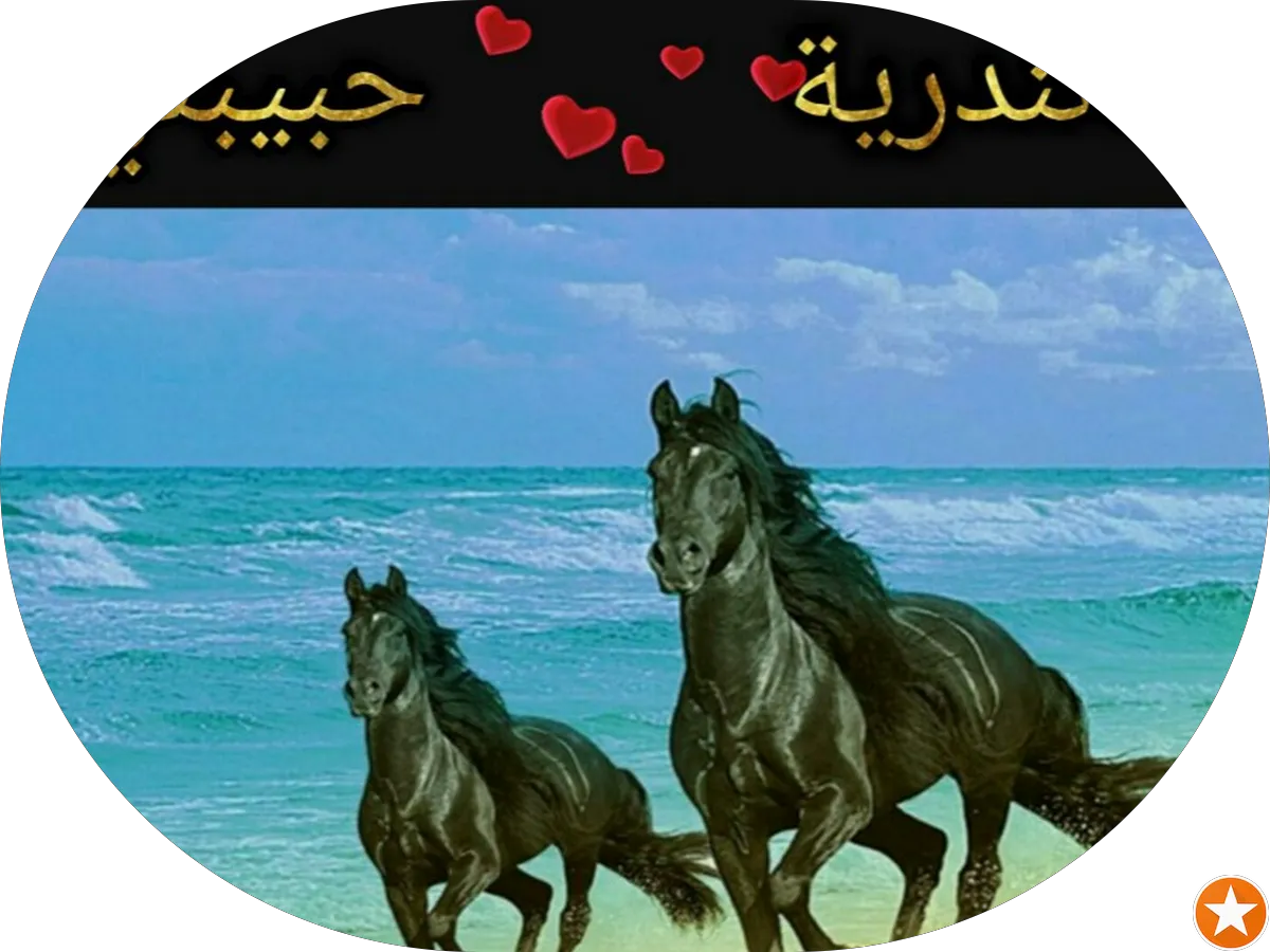 United States Postal Service photo 5