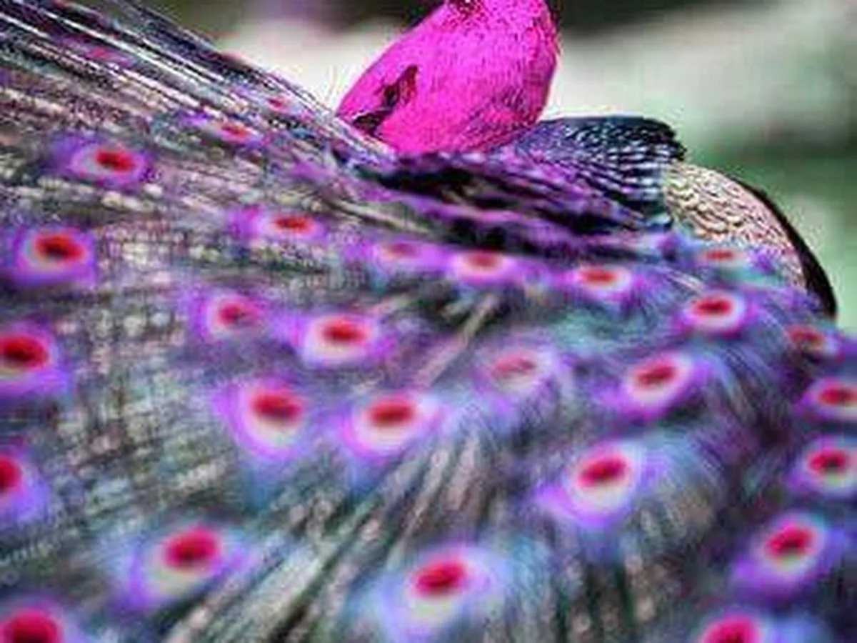 UNITY MINISTRIES INC A NJ Non Profit Org.