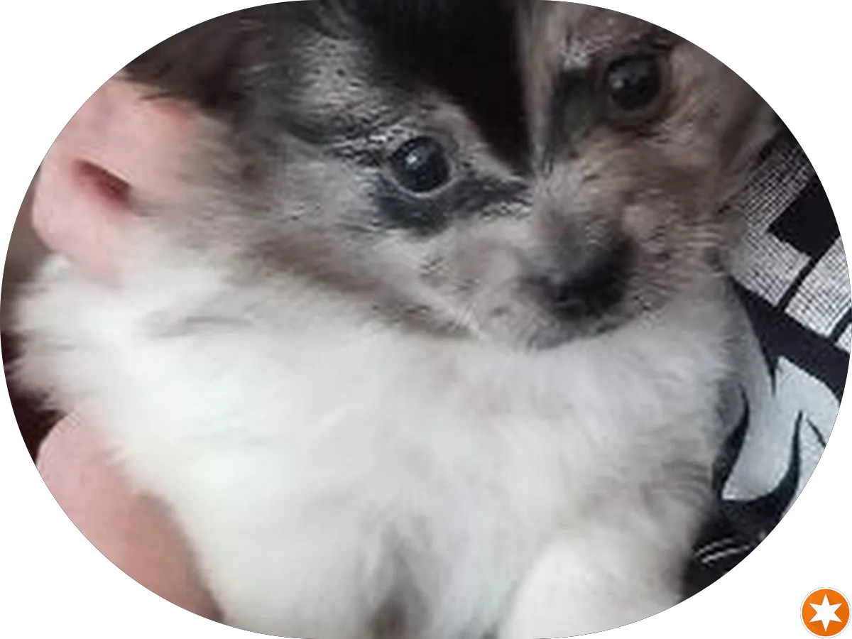 Unlimited Comfort By Steve HVAC photo 3