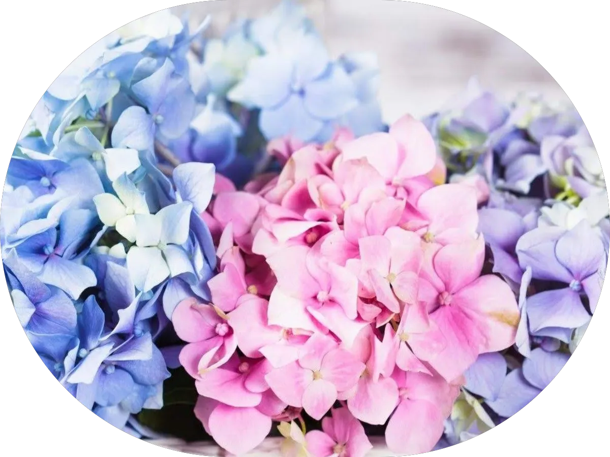 UPS Access Point location photo 2