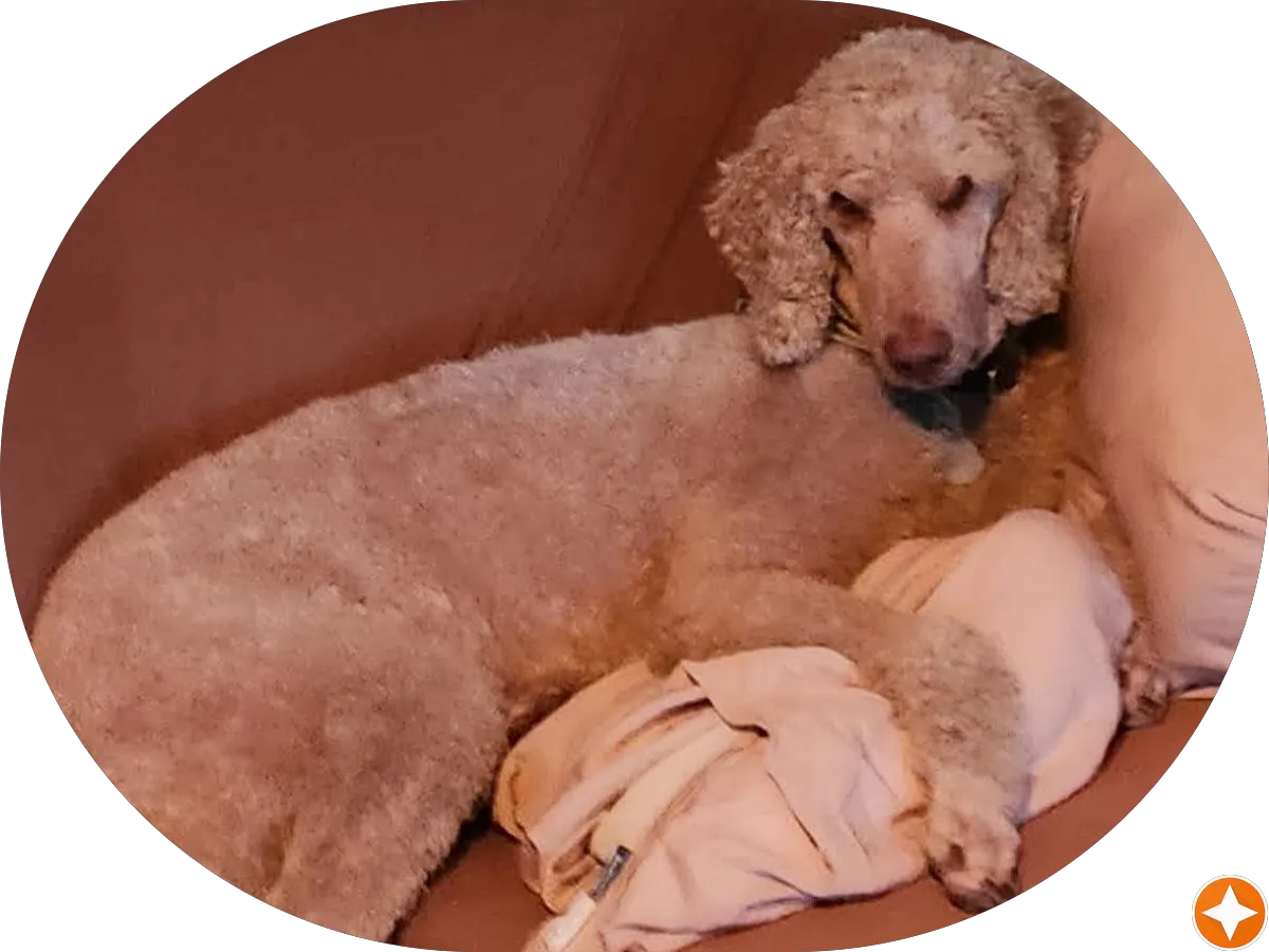 UPS Alliance Shipping Partner photo 4