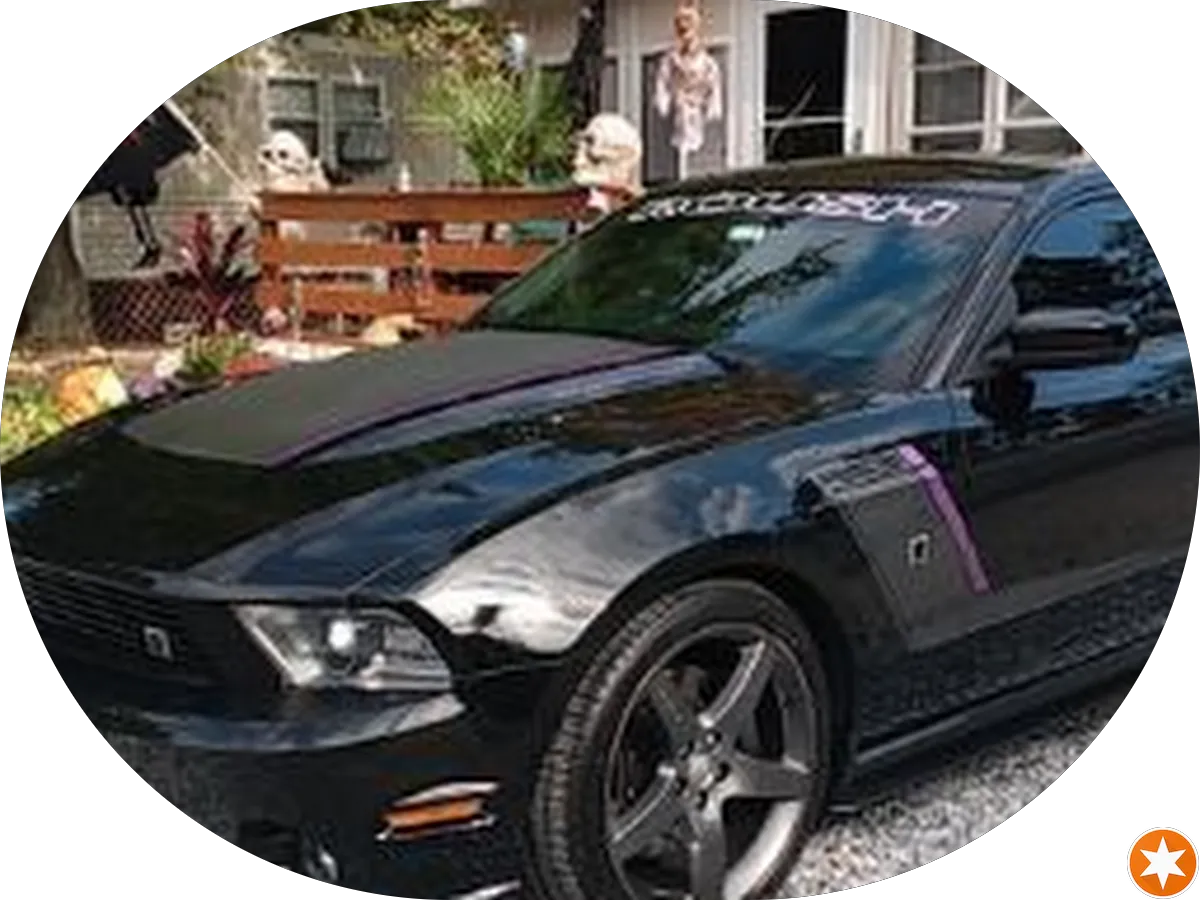 Urban Tails Grooming photo 5