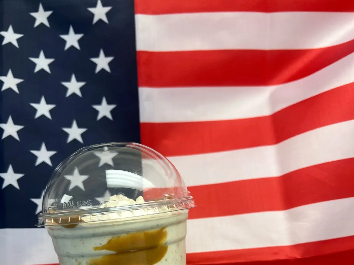 US Mr Ice Cream photo 3