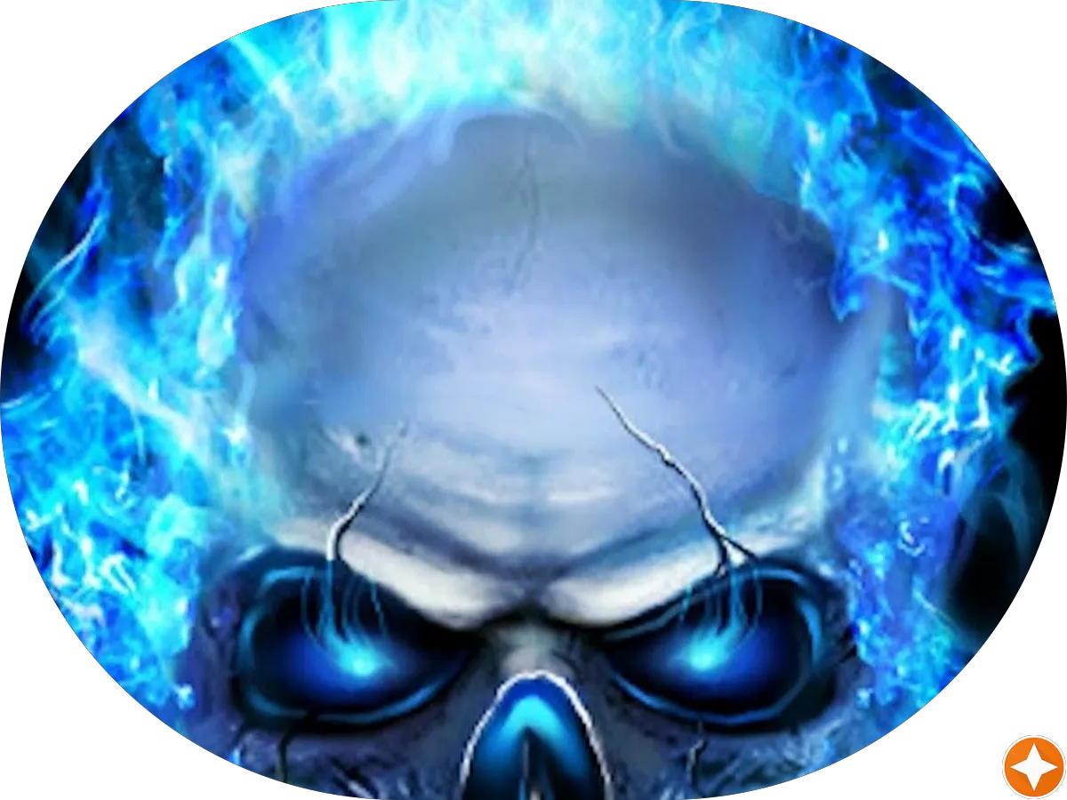 V Zara Hauling LLC photo 3