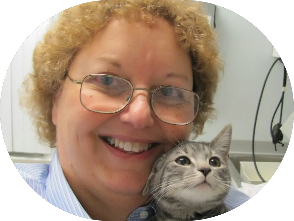 Valerie Bertsch - COMPASS Real Estate photo 5