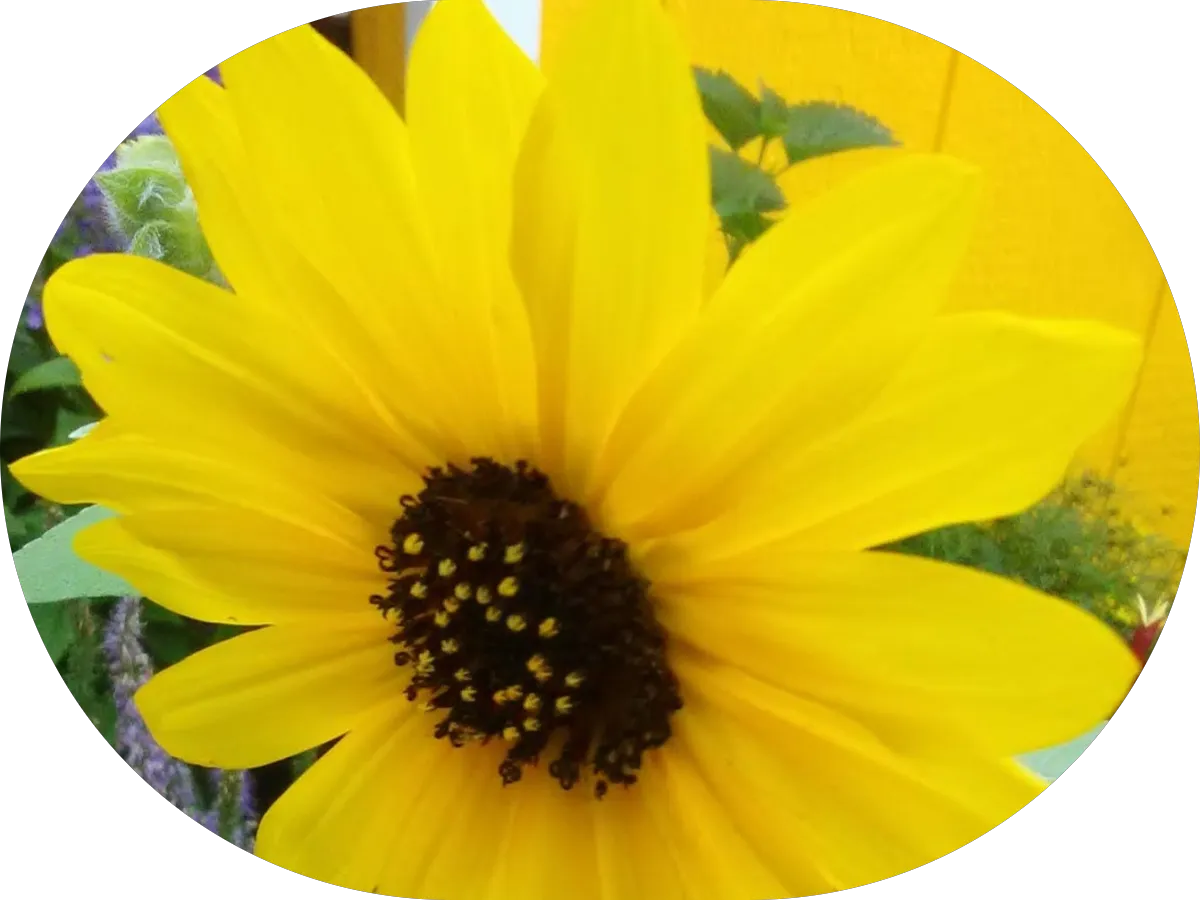 Value Act Cleaners photo 5