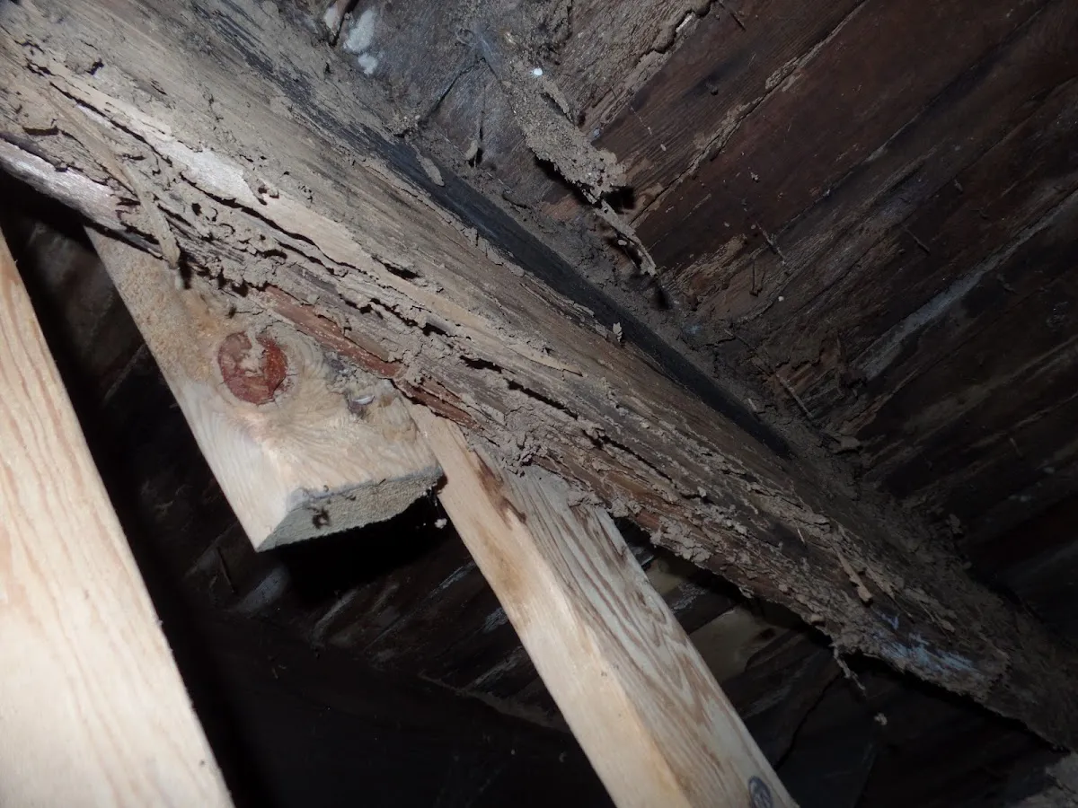 Vantage Property Inspection